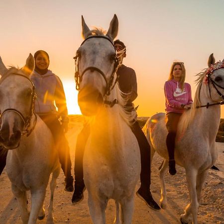 فندق أبو ظبيفي  Pura Eco Retreat, Jubail Island المظهر الخارجي الصورة